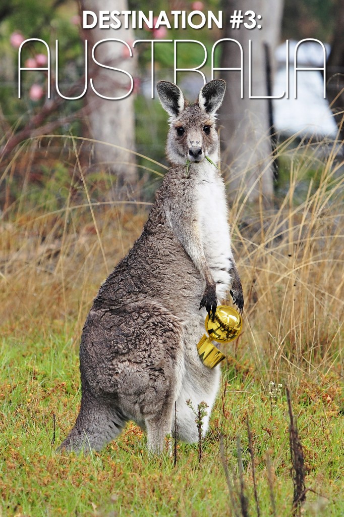 LOB-D3-Australia